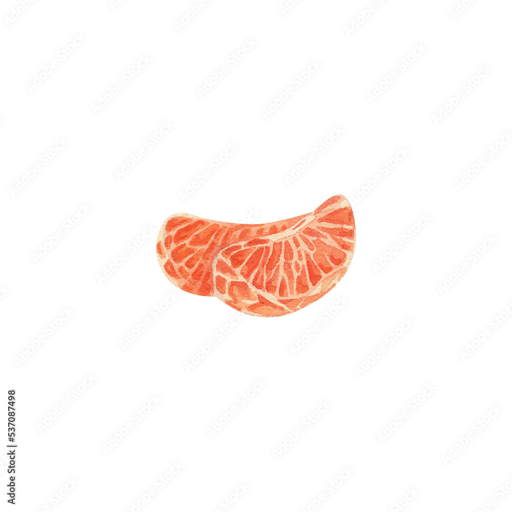 Tangerine slices. Watercolor illustration. Tangerine slices. Watercolor illustration.