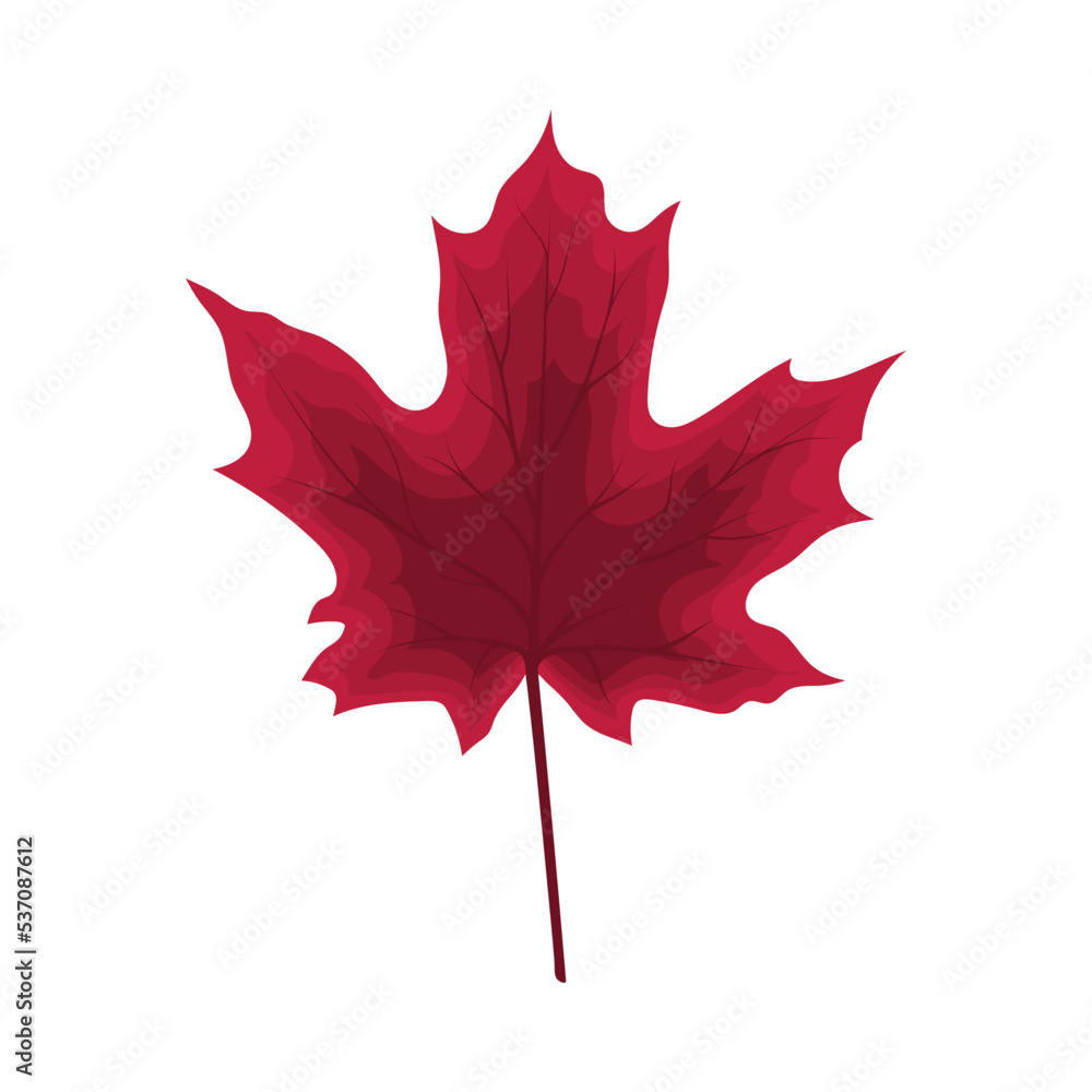 Naklejka premium Maple Autumn Leaf