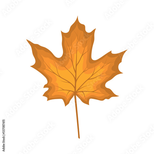 Maple Autumn Leaf