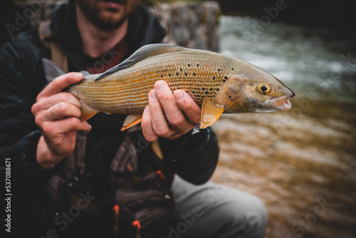 Portrait of a grayling fly fishing	