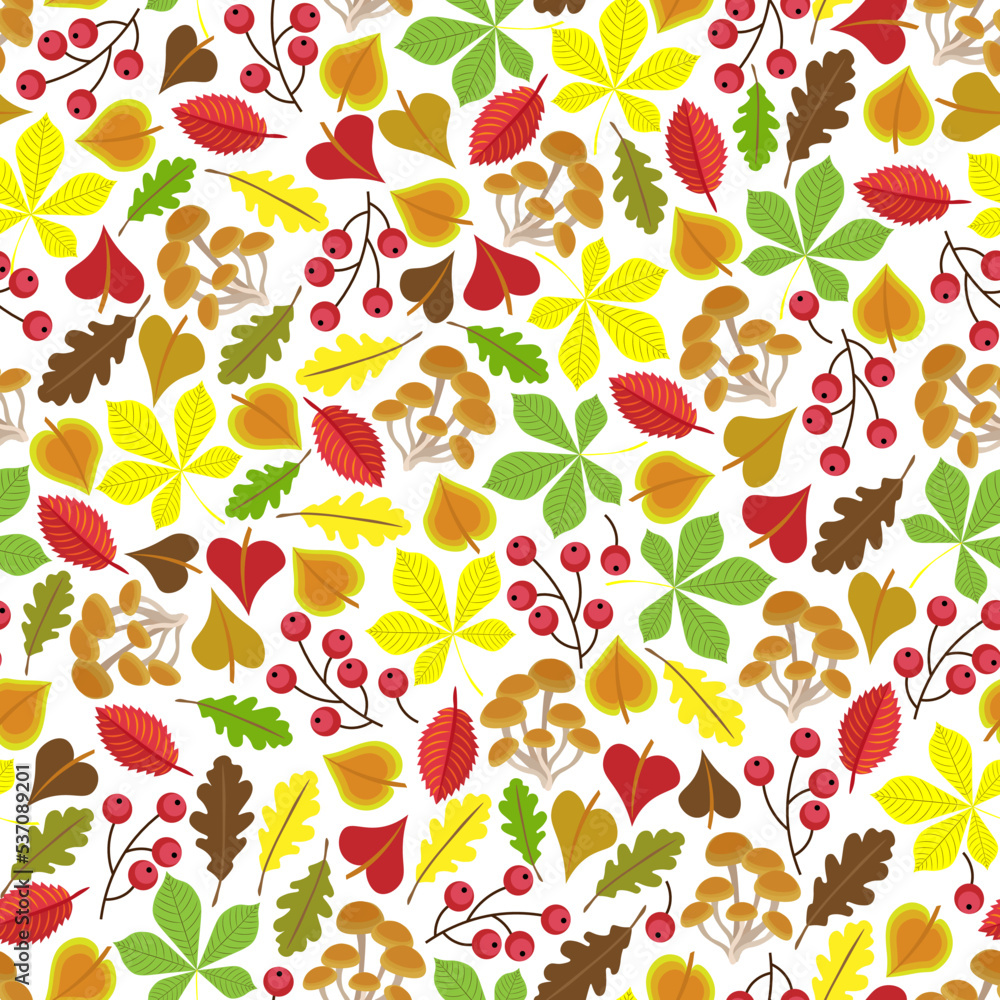 Berries, mushrooms, colourful autumn leaves, white background. Seamless floral pattern, hand drawn, vector. Berries, mushrooms, colourful autumn leaves, white background. Seamless floral pattern, hand drawn, vector.