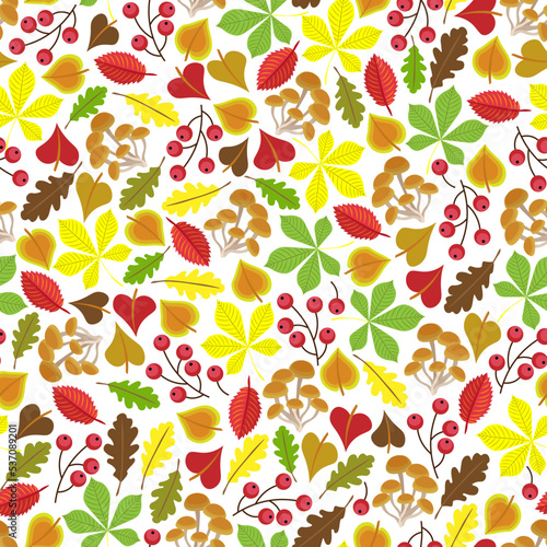 Berries, mushrooms, colourful autumn leaves, white background. Seamless floral pattern, hand drawn, vector.