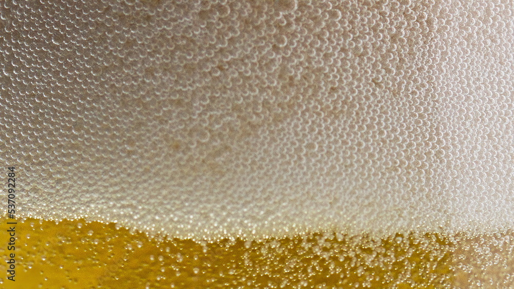Foamy beer sizzling bubbling transparent glass closeup.Blebs froth raising up Foamy beer sizzling bubbling transparent glass closeup.Blebs froth raising up