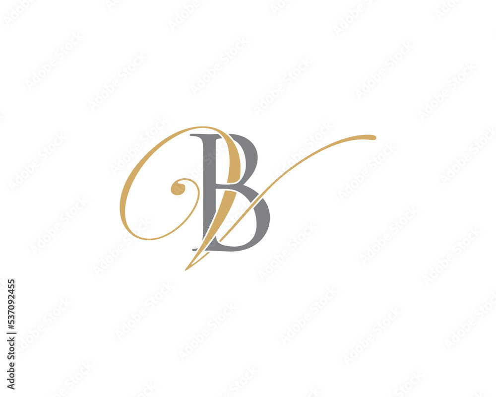 Obraz premium Letter B and V Logo Icon 001
