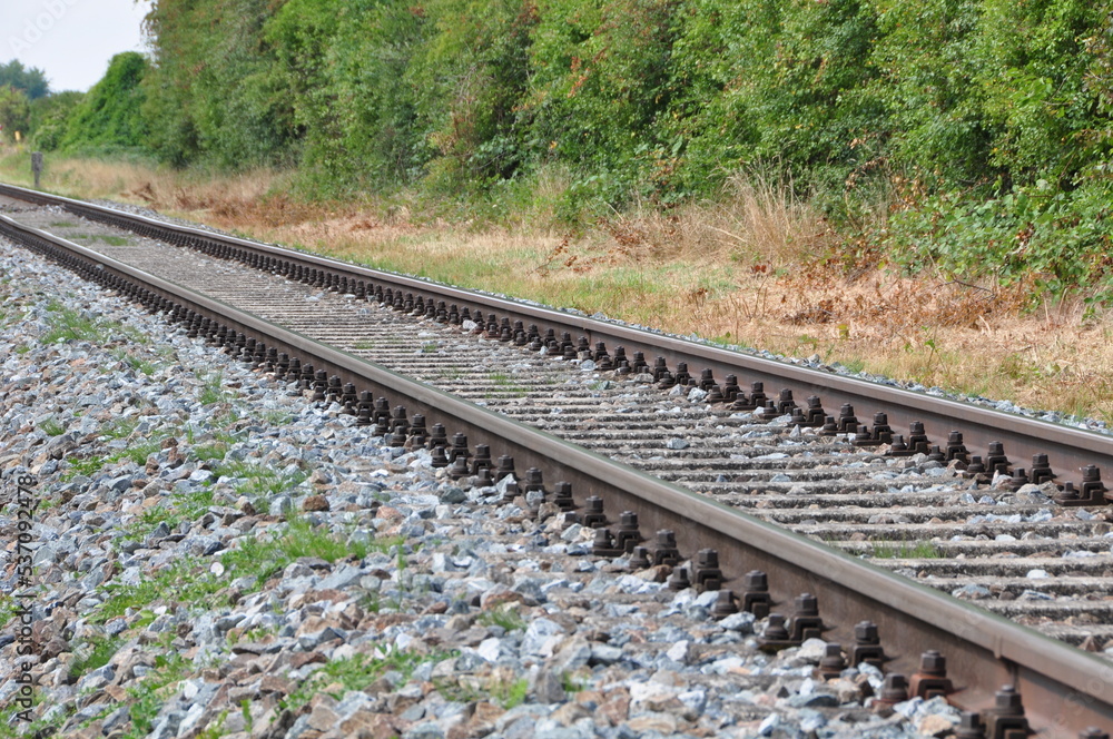 Eisenbahnschienen Mit Triebwagenzug Auf Eingelsiger Strecke Im Sommer eisenbahnschienen-mit-triebwagenzug-auf-eingelsiger-strecke-im-sommer