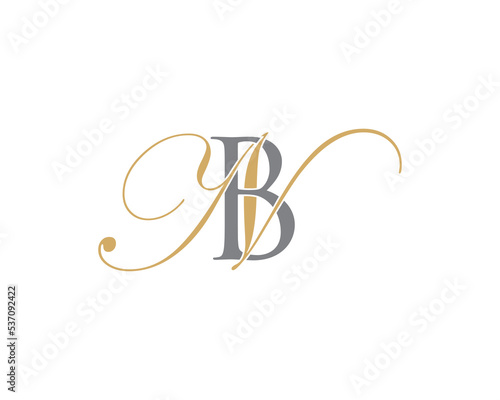 Letter B and N Logo Icon 001