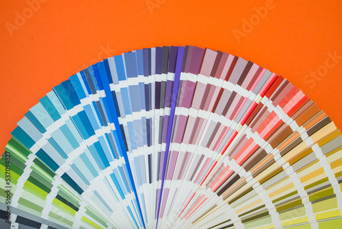 Color guide close up. Assortment of flowers for design. Color palette fan on orange background A graphic designer chooses colors from a color palette guide.