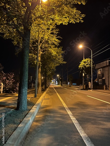 street in autumn