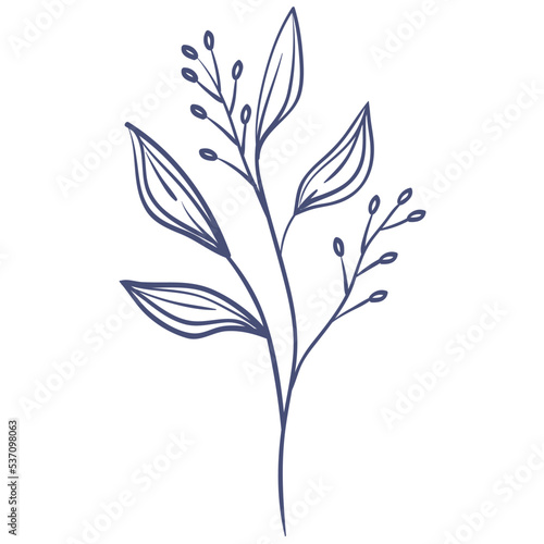 branch leafs plant sketch
