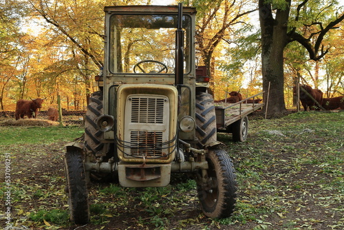 An old yellow tractor standing on a farm with a background of autumn leaves. Stary żółty traktor stojący na farmie na tle jesiennych liści
