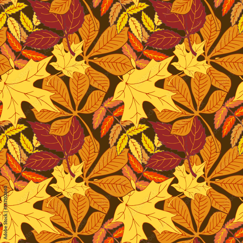 Pattern of colored autumn leaves