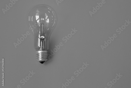 Electric light bulb in black and white. Energy saving. Conceptual idea symbol.