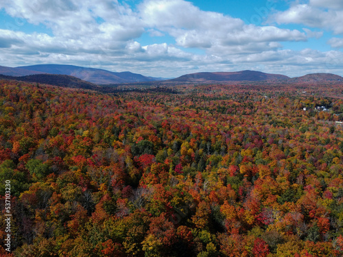 autumn landscape in the mountains