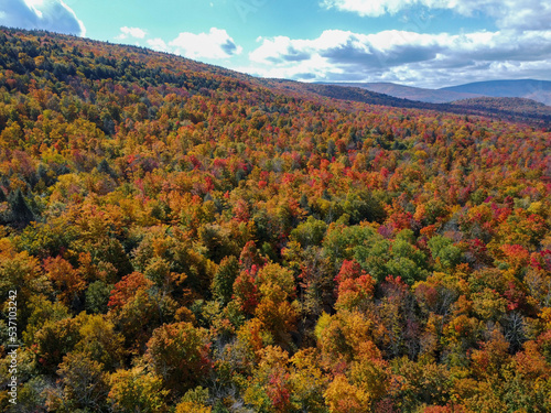 fall colors in the mountains