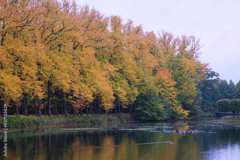 Herbst Landschaft mit See und Bäumen