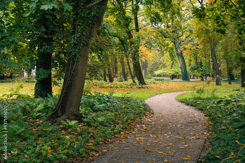 Fototapeta premium Piękny jesienny park w Warszawskich łazienkach Królewskich
