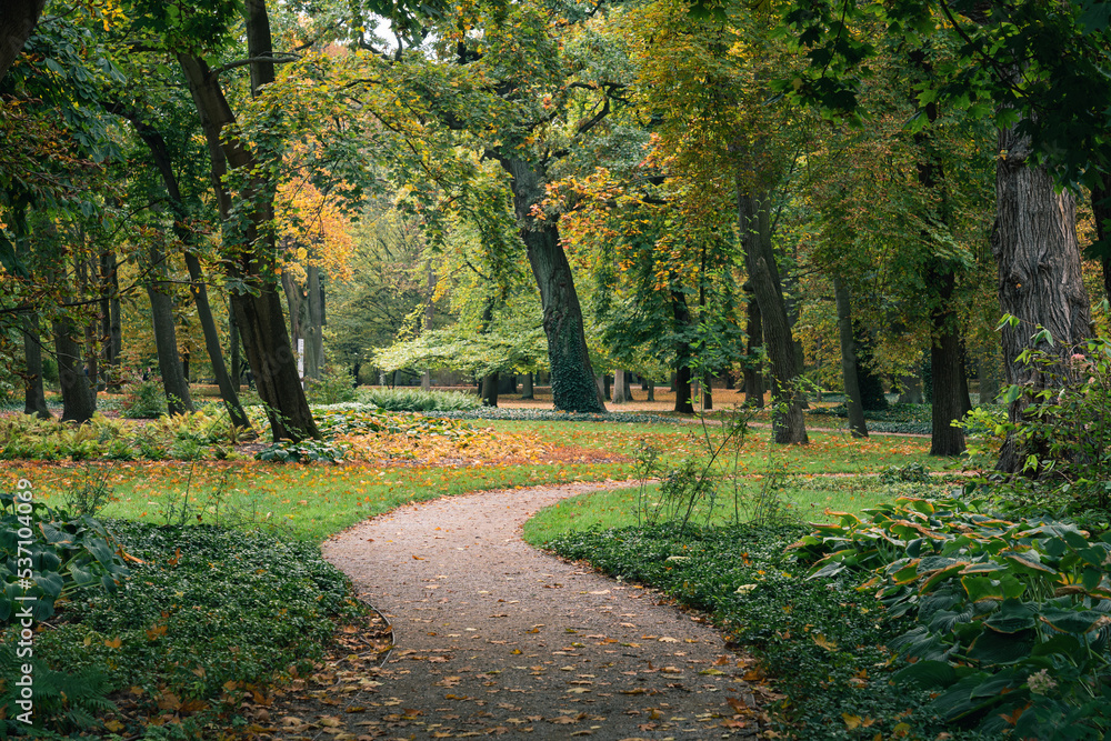 Piękny jesienny park w Warszawskich łazienkach Królewskich 