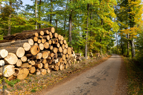 Log trunks, the logging timber forest wood industry.