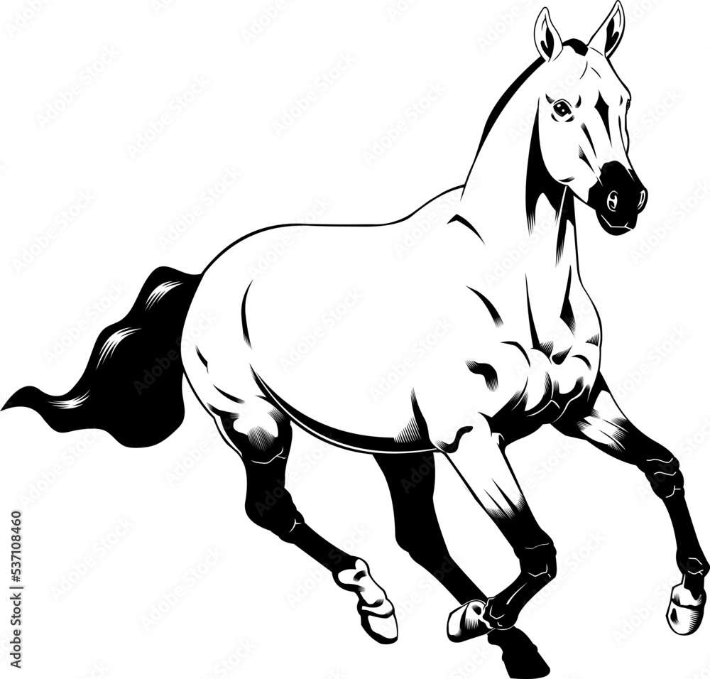Outlined Beautiful Cartoon Horse Silhouette With Dark Mane Running. Vector Hand Drawn Illustration Isolated On Transparent Background Outlined Beautiful Cartoon Horse Silhouette With Dark Mane Running. Vector Hand Drawn Illustration Isolated On Transparent Background