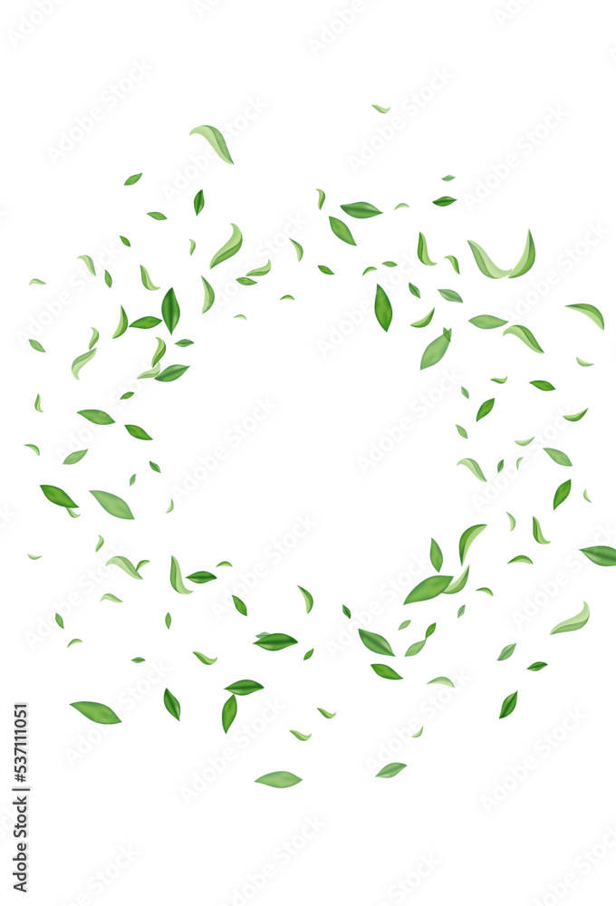 Swamp Leaf Fresh Vector White Background Pattern. Swamp Leaf Fresh Vector White Background Pattern.