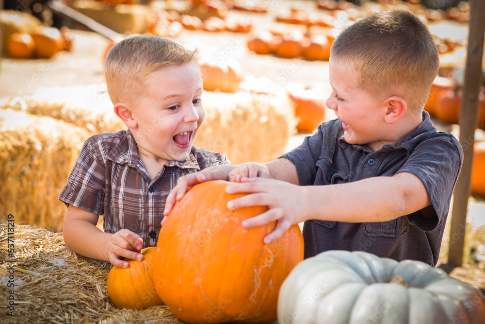 Fototapeta premium Two Boys at the Pumpkin Patch Talking and Having Fun.
