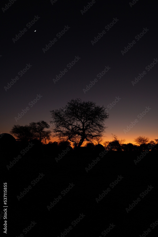 Sunrise at Serengeti campsite with moon