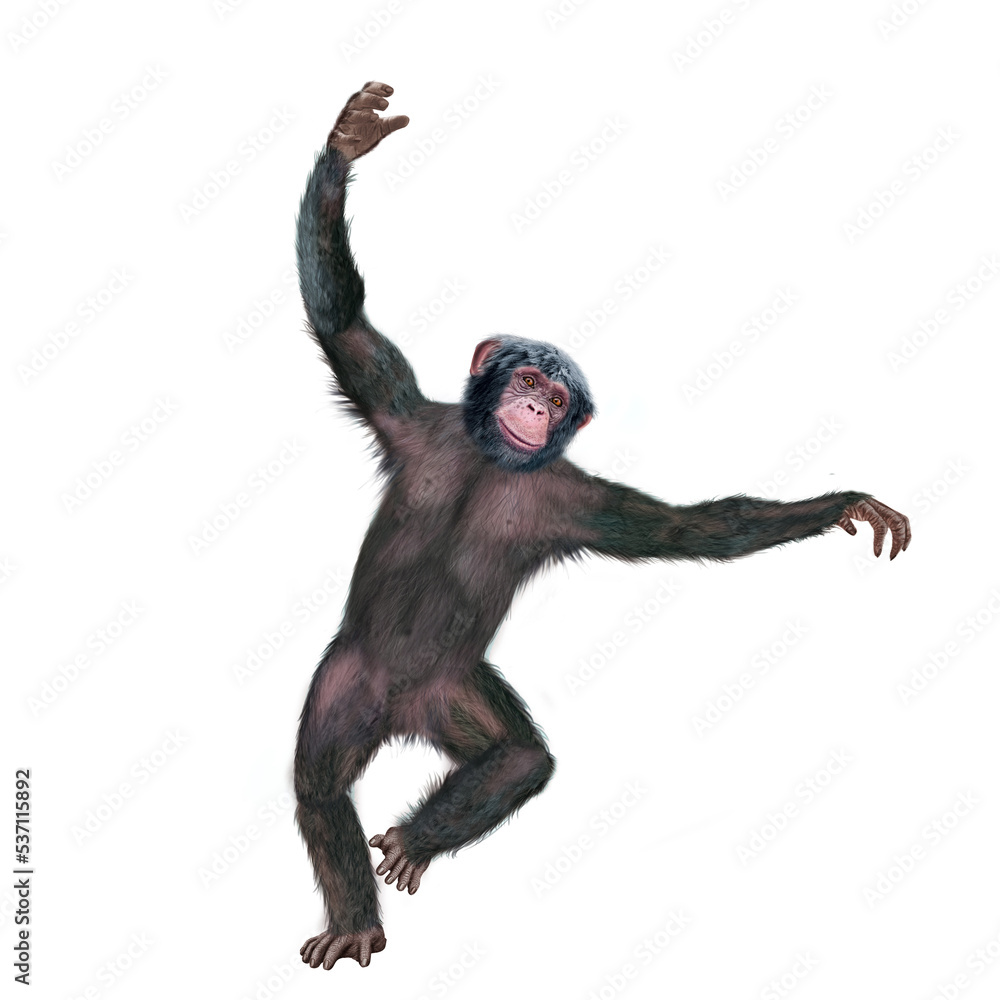 chimpanzé, attitude, mouvement, gesticule, singe, expression, mammifère, jardin zoologique, illustration, animal, fourrure, bonobo, nature, sauvage, faune, drôle
chimpanzé, attitude, mouvement, gesticule, singe, expression, mammifère, jardin zoologique, illustration, animal, fourrure, bonobo, nature, sauvage, faune, drôle