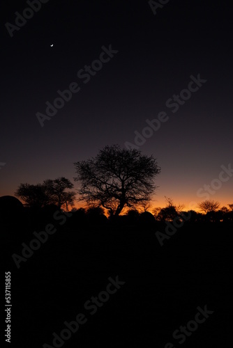 Wallpaper Mural Sunrise at Serengeti campsite with moon Torontodigital.ca