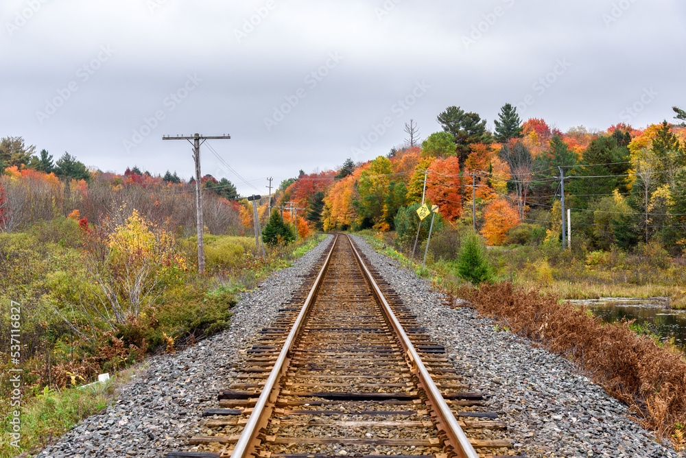 Single railway track through a forested landscape at the peak of autumn colours on a overcast day Single railway track through a forested landscape at the peak of autumn colours on a overcast day