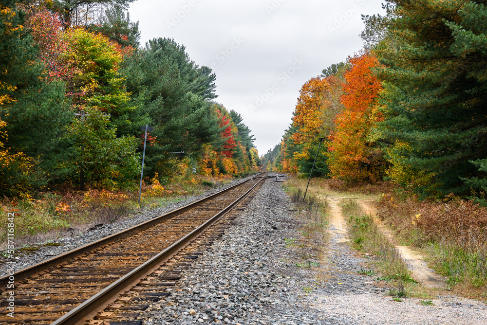 Railroad tracks through a forest on a cloudy fall day. A switch is visible in distance. Autumn colours. Railroad tracks through a forest on a cloudy fall day. A switch is visible in distance. Autumn colours.