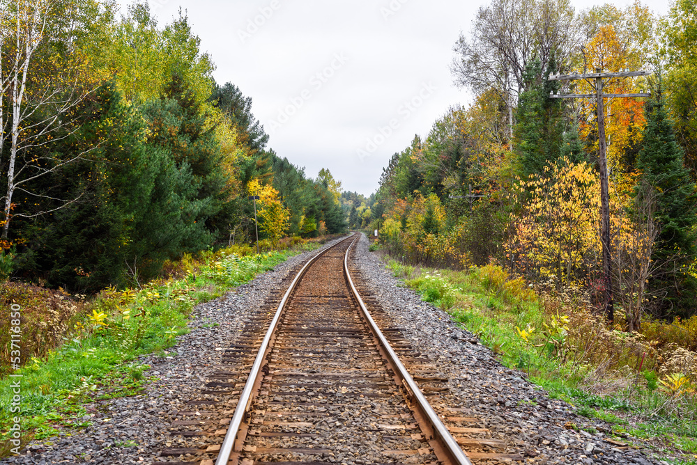 Winding railroad through a forest on an overcast autumn day