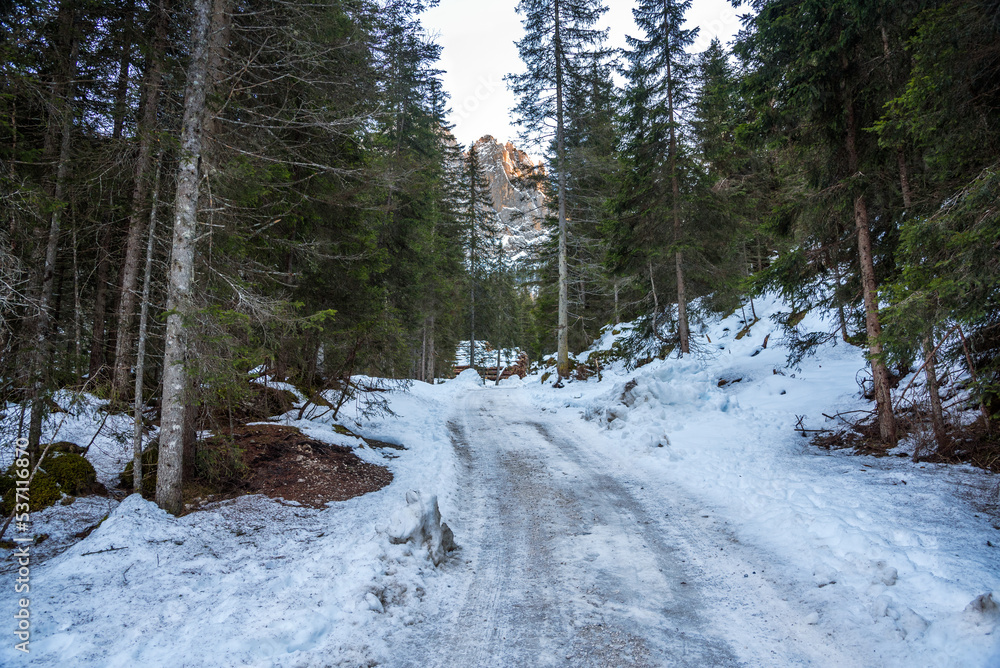 Empty narrow snow covered road through a pine forest in the mountains at sunset in autumn. Empty narrow snow covered road through a pine forest in the mountains at sunset in autumn.