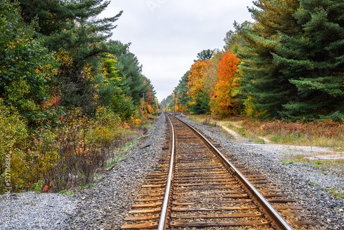Empty railway tracks through a forest on a cloudy autumn day. A switch is visible in distance.