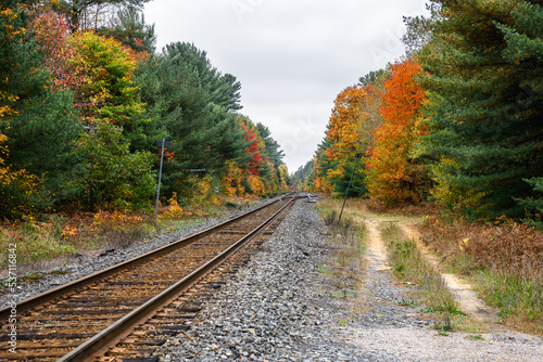 Railroad tracks through a forest on a cloudy fall day. A switch is visible in distance. Autumn colours.