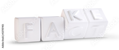 fake and fact symbolic cubes dices 3d-illustration photo