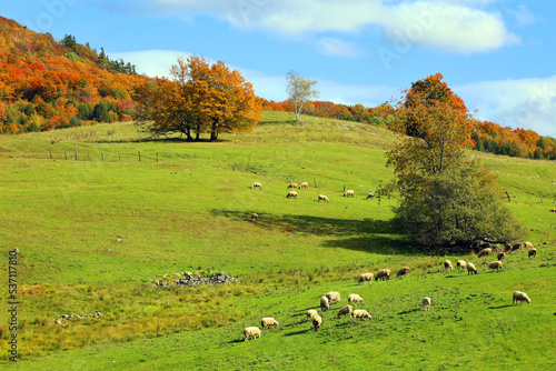 Fall landscape eastern townships Bromont Quebec province Canada