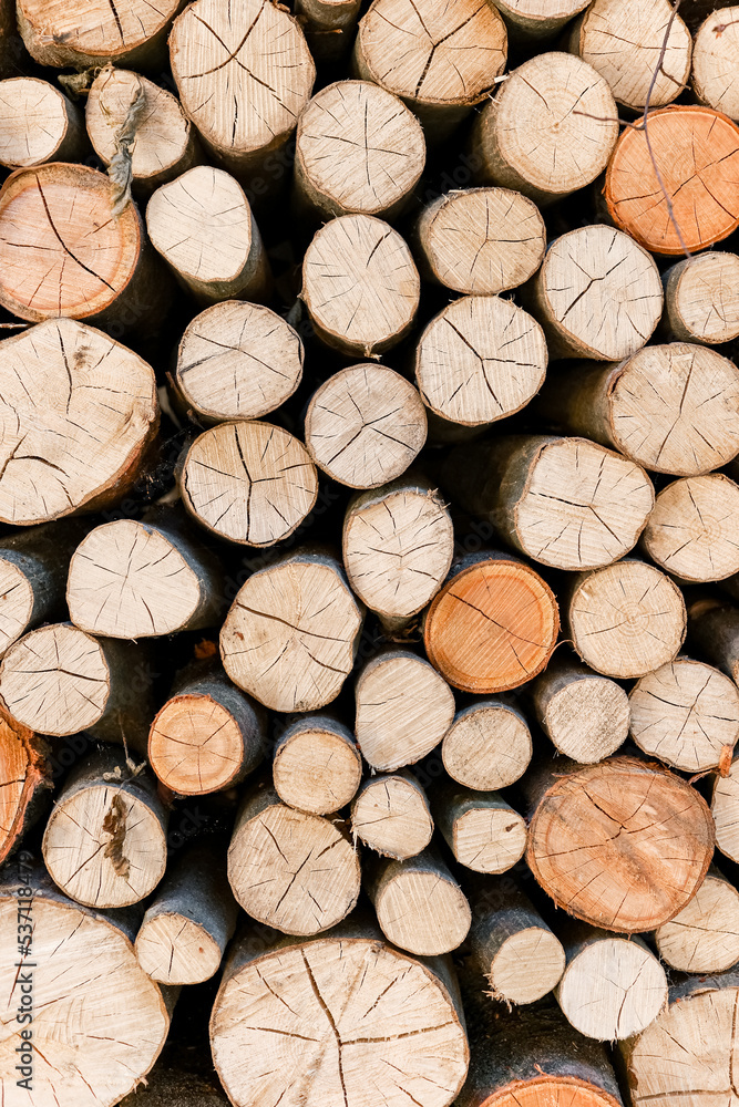 Cross section of tree trunks, timber background. Log trunks pile, the logging timber wood industry. Cutting tree trunks placed together for interior decorate. Decoration of cutting tree. Cross section of tree trunks, timber background. Log trunks pile, the logging timber wood industry. Cutting tree trunks placed together for interior decorate. Decoration of cutting tree.