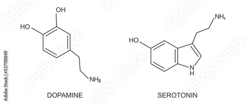 Dopamine and serotonin compound icons. Happy or feel good hormones chemical molecular structure isolated on white background. Vector graphic illustration photo