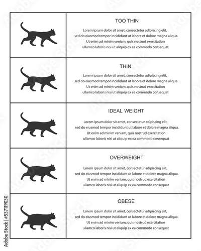 Cat weight chart in infographic table. Kitties silhouettes with normal and abnormal body condition. Thin, ideal, overweight and obese feline domestic pets. Vector graphic illustration