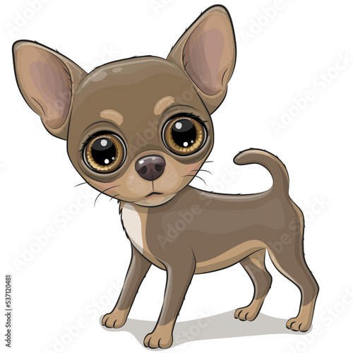 Cartoon Dog Сhihuahua isolated on a white background