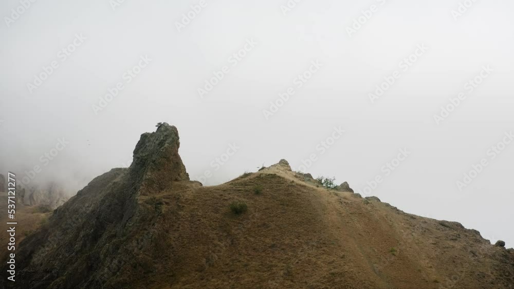 Steppe landscape, a bird flies in the fog. Clouds cover the sky, strong wind, you can see the movement of air. Drone aerial shot. Steppe landscape, a bird flies in the fog. Clouds cover the sky, strong wind, you can see the movement of air. Drone aerial shot.