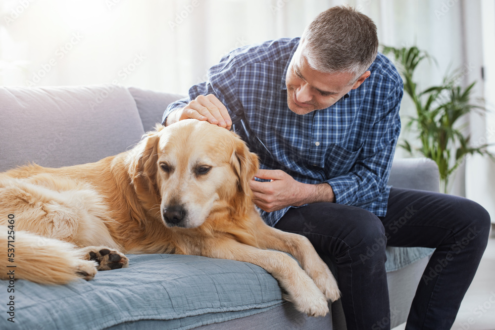 Pet owner cuddling his dog at home Pet owner cuddling his dog at home