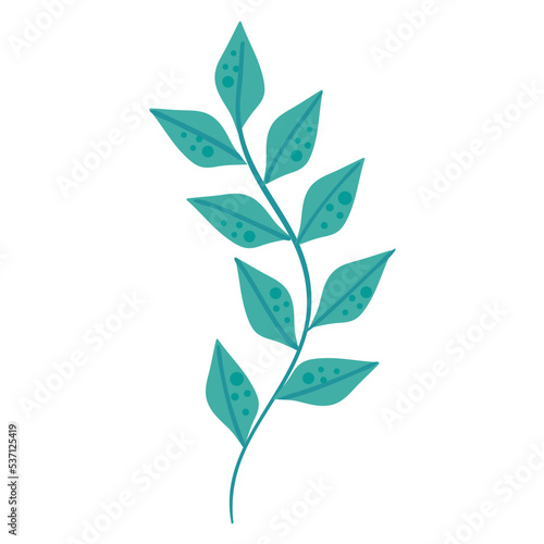 green seaweed branch