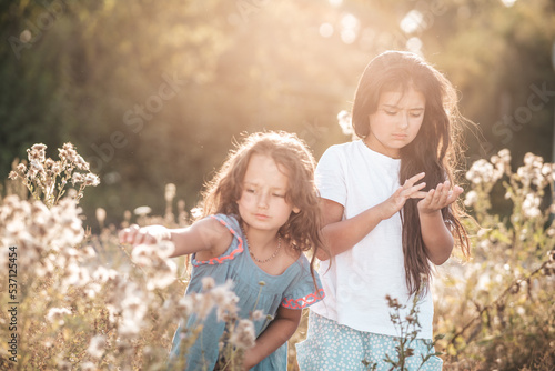 two girls in nature picking flowers in the setting sun portrait photo