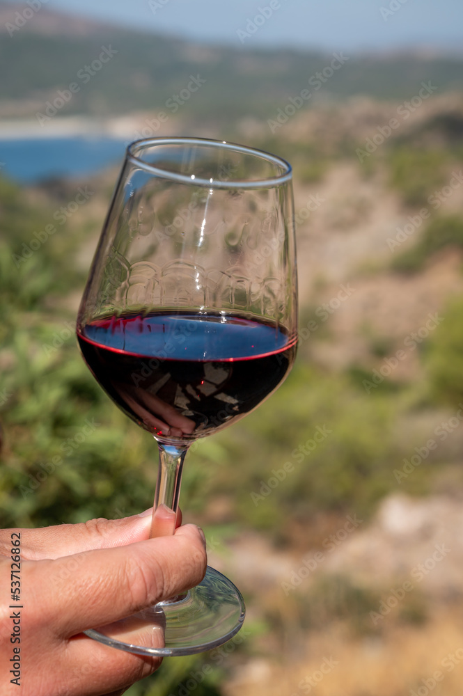 Tasting of red wine on vineyards of Cyprus. Wine production on Cyprus, tourists wine route.