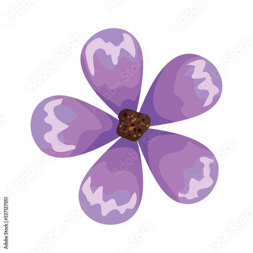 lilac flower garden