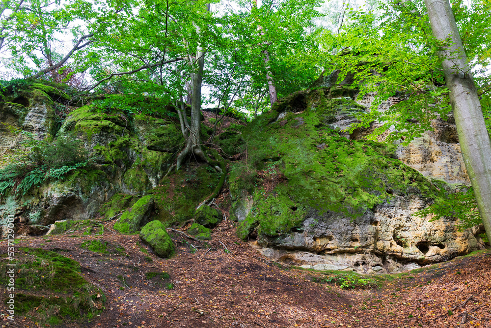 Kokorin Castle from the first half 14th century and its surroundings. Gothic castle is located in the Village Kokorin, Protected landscape area, in the Central Bohemian Region, Czech Republic