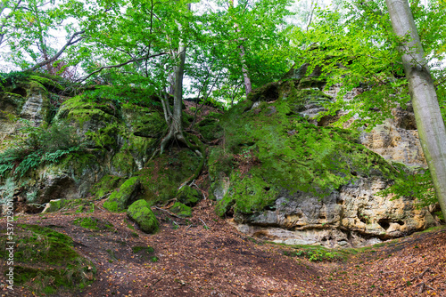 Obraz na płótnie Kokorin Castle from the first half 14th century and its surroundings. Gothic castle is located in the Village Kokorin, Protected landscape area, in the Central Bohemian Region, Czech Republic w salonie