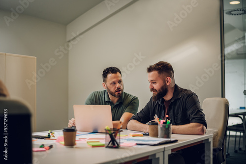 Two male colleagues having a meeting in an office and using a laptop