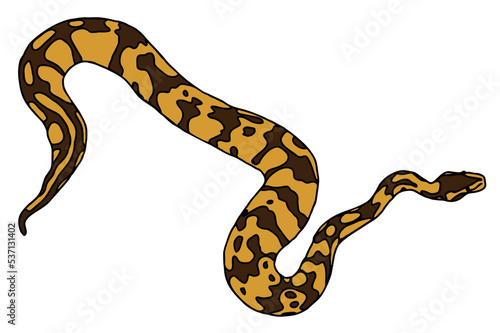 Snake - Python Vector